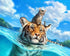 Swimming Tiger & Cat